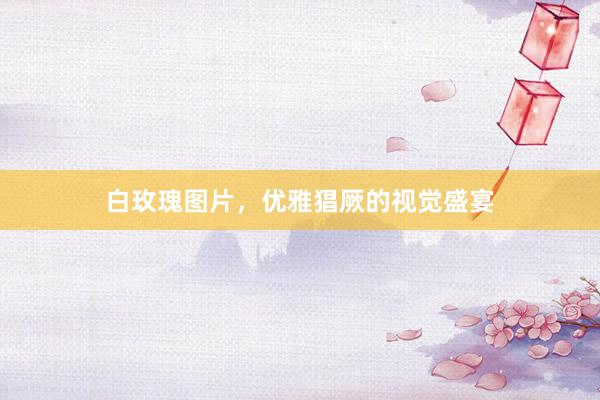 白玫瑰图片，优雅猖厥的视觉盛宴
