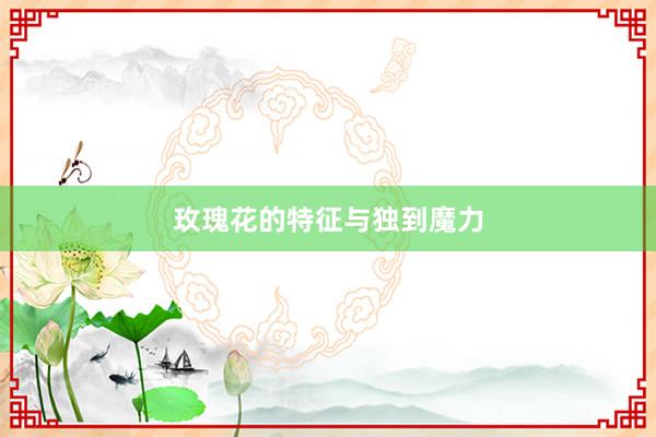 玫瑰花的特征与独到魔力